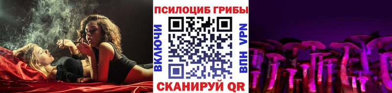 Псилоцибиновые грибы Cubensis  Аркадак 