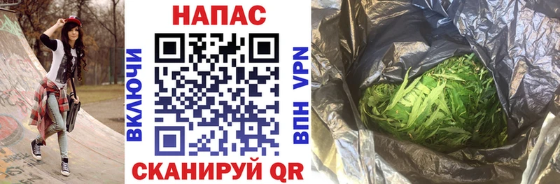 Конопля сатива  Аркадак 
